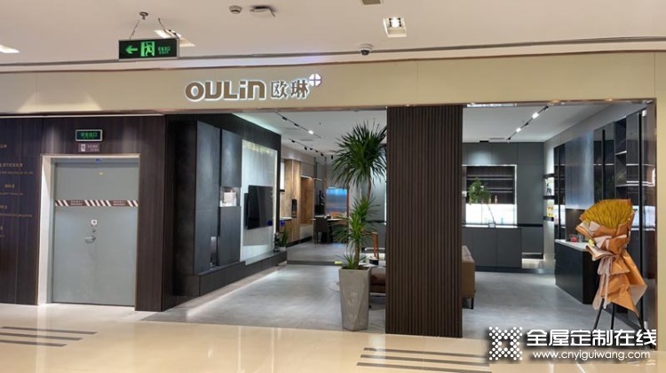 歐琳全屋定制上海靜安區(qū)專(zhuān)賣(mài)店