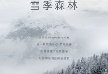 佰麗愛家全屋定制新品 | <克諾斯邦> 邂逅 · 雪季森林